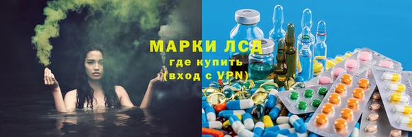 гашик Пересвет