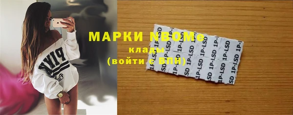 гашик Пересвет