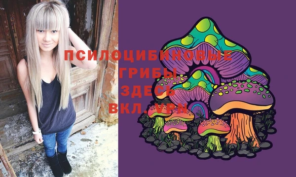 дживик Абинск
