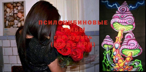 дживик Абинск