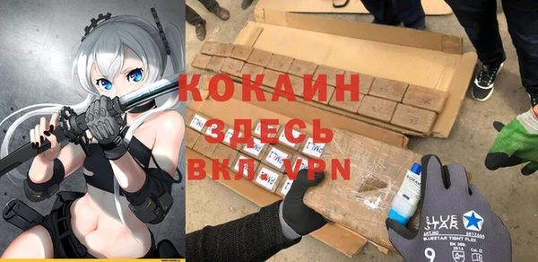 гашик Пересвет