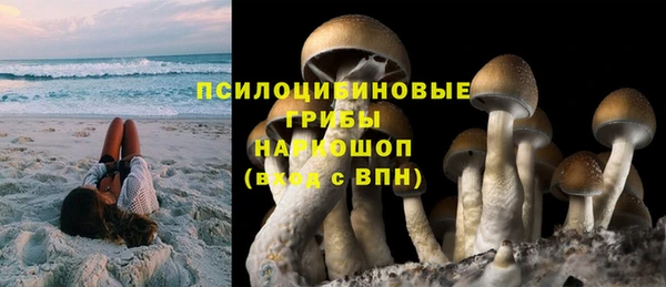 мдпв Переславль-Залесский